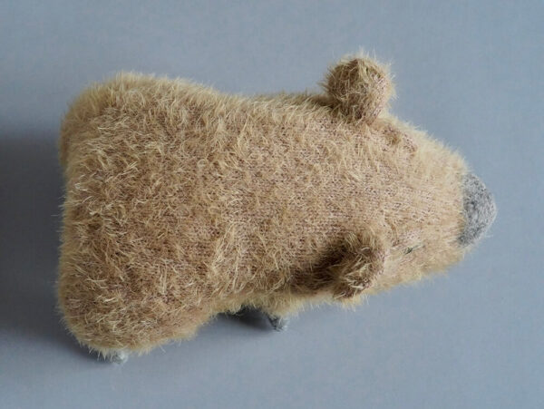 Capybara Zinaida Top View