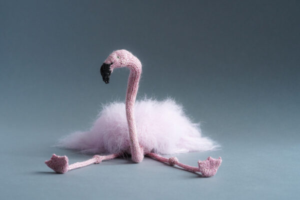 Flamingo Britney Curious