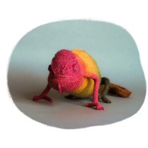 Chameleon Rain B. Ow