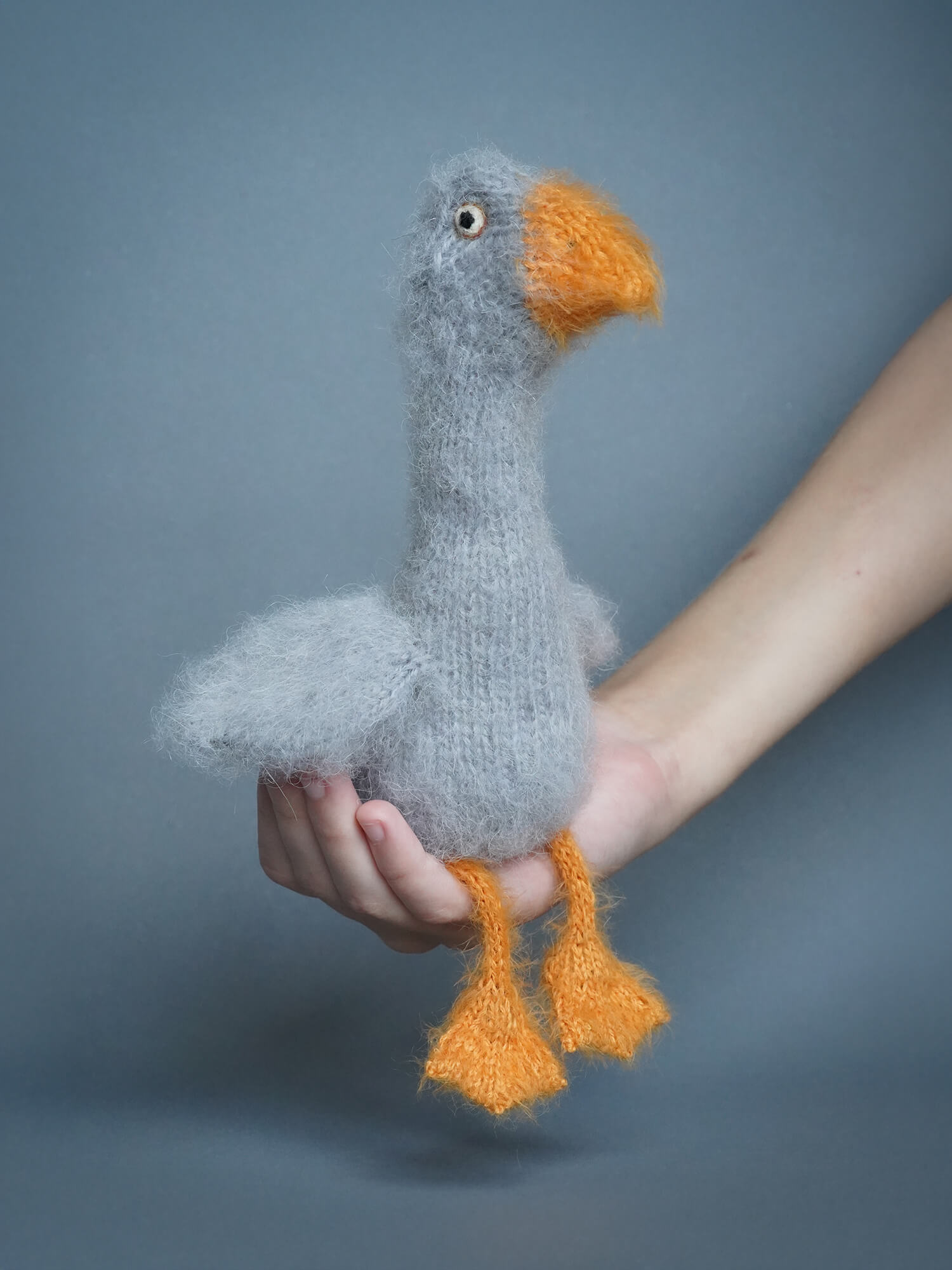 Goose Bruce Grey in the arms