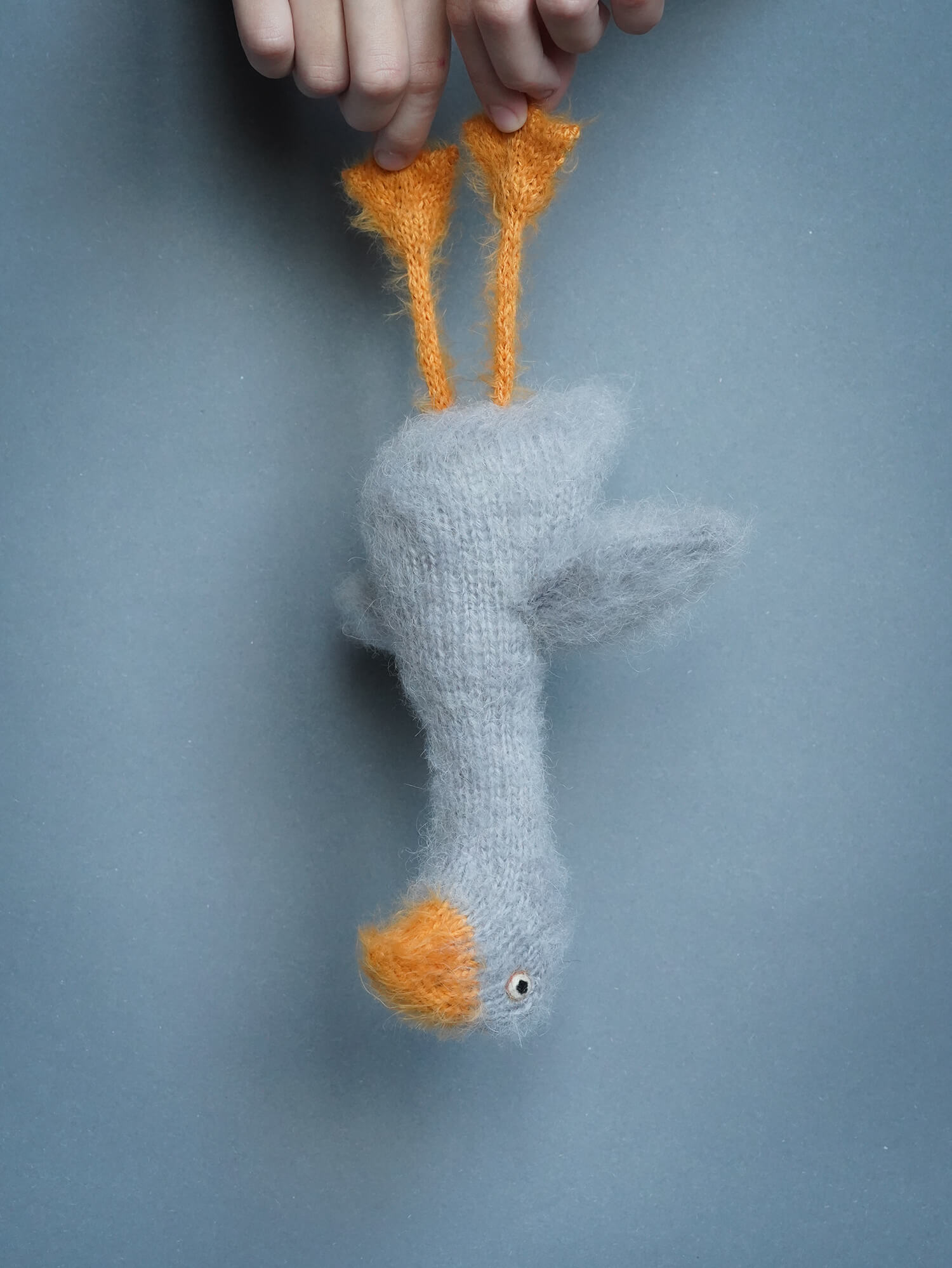 Goose Bruce Grey Cute